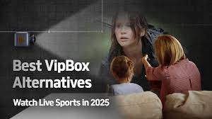 Vipbox Alternatives: Top Streaming Options for Sports Fans