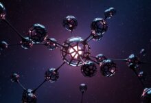 The Concept of Qawerdehidom: Understanding Its Meaning, Importance, and Impact