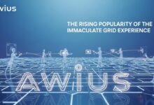 Awius: The Rising Popularity of the Immaculate Grid Experience
