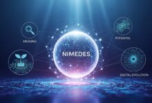 Nimedes: Exploring the Meaning, Potential, and Digital Evolution of Nimedes